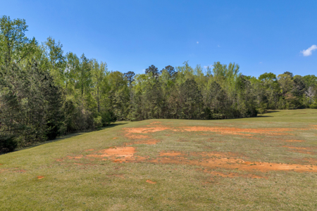 FOR SALE 45.68 Acres of Industrial Development Land  Elberton - image 17