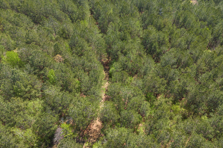 FOR SALE 45.68 Acres of Industrial Development Land  Elberton - image 33