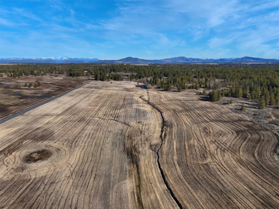 Expansive 40-acre parcel in Reardan, Washington - image 1
