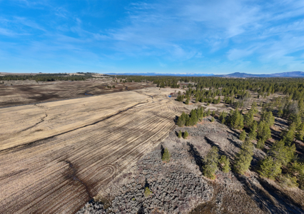 Expansive 40-acre parcel in Reardan, Washington - image 3