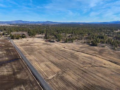 Expansive 40-acre parcel in Reardan, Washington - image 5