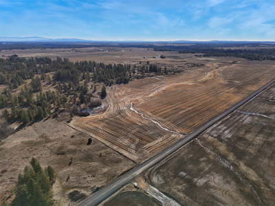 Expansive 40-acre parcel in Reardan, Washington - image 7