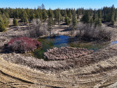 Expansive 40-acre parcel in Reardan, Washington - image 13