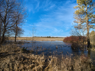 Expansive 40-acre parcel in Reardan, Washington - image 30