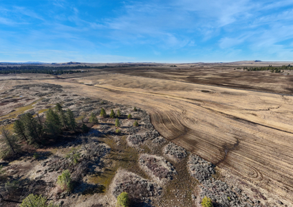 Expansive 40-acre parcel in Reardan, Washington - image 2