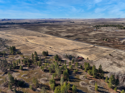 Expansive 40-acre parcel in Reardan, Washington - image 11