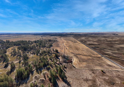 Expansive 40-acre parcel in Reardan, Washington - image 9