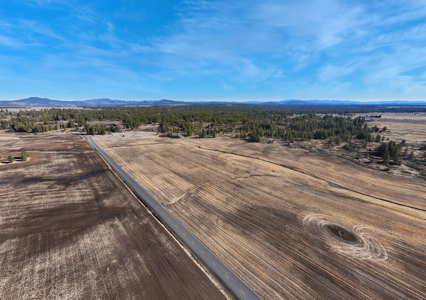 Expansive 40-acre parcel in Reardan, Washington - image 6
