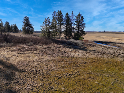 Expansive 40-acre parcel in Reardan, Washington - image 18