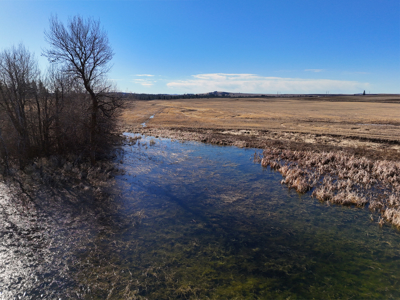 Expansive 40-acre parcel in Reardan, Washington - image 15