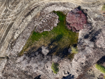 Expansive 40-acre parcel in Reardan, Washington - image 23