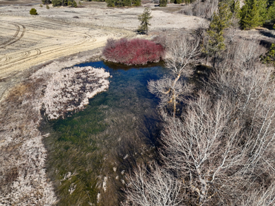 Expansive 40-acre parcel in Reardan, Washington - image 20
