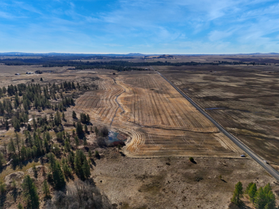 Expansive 40-acre parcel in Reardan, Washington - image 24