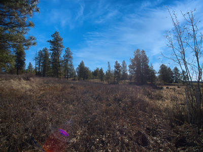 Expansive 40-acre parcel in Reardan, Washington - image 27