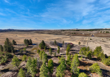 Expansive 40-acre parcel in Reardan, Washington - image 22