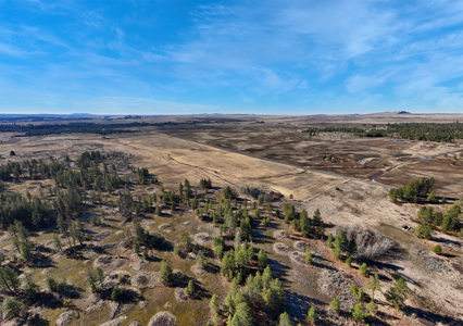 Expansive 40-acre parcel in Reardan, Washington - image 10