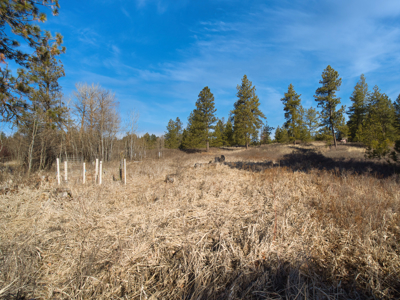 Expansive 40-acre parcel in Reardan, Washington - image 29