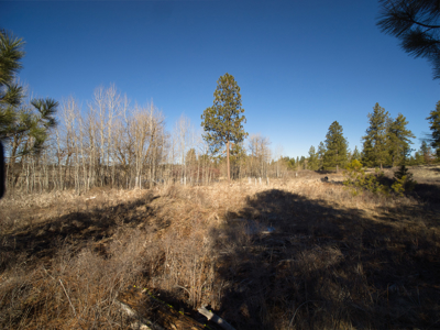 Expansive 40-acre parcel in Reardan, Washington - image 28