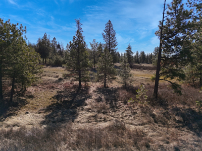 Expansive 40-acre parcel in Reardan, Washington - image 17