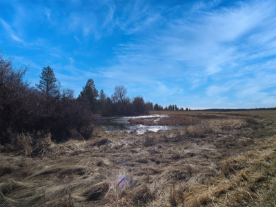 Expansive 40-acre parcel in Reardan, Washington - image 26