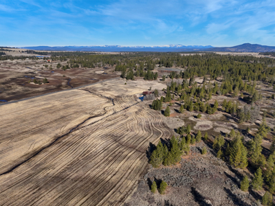 Expansive 40-acre parcel in Reardan, Washington - image 4