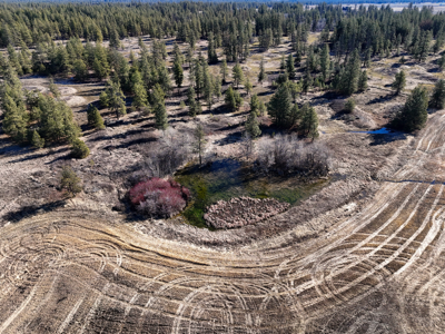 Expansive 40-acre parcel in Reardan, Washington - image 12