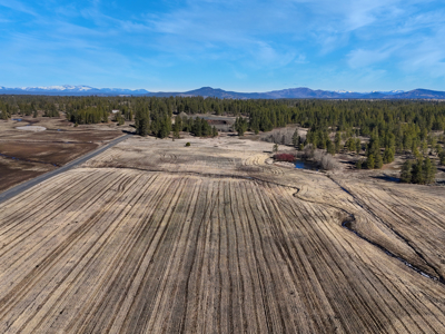 Expansive 40-acre parcel in Reardan, Washington - image 19