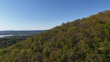 Mountain Hunting Land /w Lake Sardis Views for Sale Clayton, OK - image 11