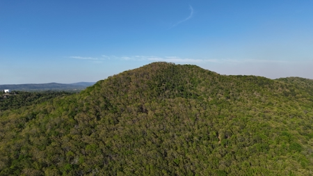 Mountain Hunting Land /w Lake Sardis Views for Sale Clayton, OK - image 9