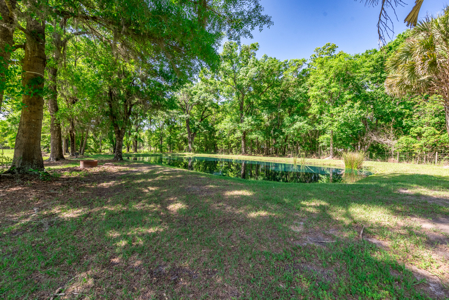 Luxury Pool Home for Sale in North Florida – 5 Acres - image 4