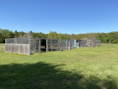 Charming 21-Acre Country Estate with Versatile Living Powderly TX - image 28