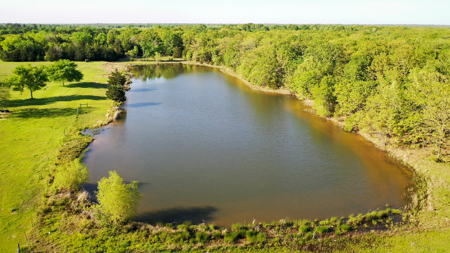 Charming 21-Acre Country Estate with Versatile Living Powderly TX - image 42