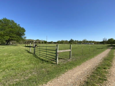 Charming 21-Acre Country Estate with Versatile Living Powderly TX - image 23