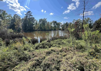 Arkansas Retreat – 100 Acres with New Home, Shop & Private Lake - image 15