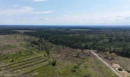 Arkansas Retreat – 100 Acres with New Home, Shop & Private Lake - image 12