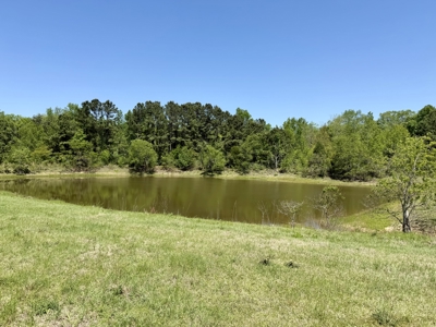 Land for sale Dothan, Alabama - Huskey Road - image 10