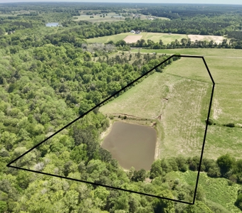 Land for sale Dothan, Alabama - Huskey Road - image 3