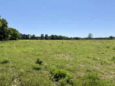 Land for sale Dothan, Alabama - Huskey Road - image 12