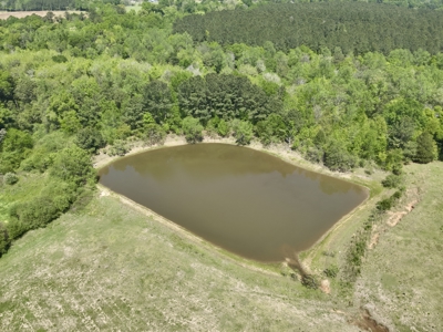 Land for sale Dothan, Alabama - Huskey Road - image 8