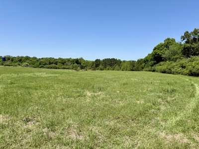 Land for sale Dothan, Alabama - Huskey Road - image 14