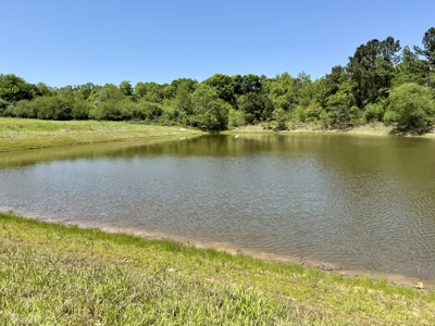 Land for sale Dothan, Alabama - Huskey Road - image 9