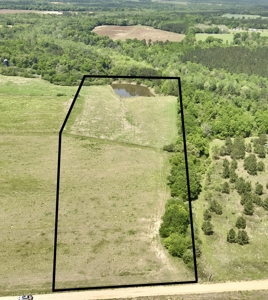 Land for sale Dothan, Alabama - Huskey Road - image 2