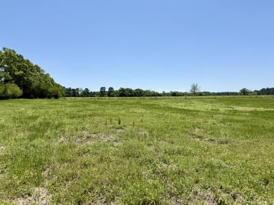 Land for sale Dothan, Alabama - Huskey Road - image 13