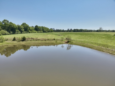 Land for sale Dothan, Alabama - Huskey Road - image 4