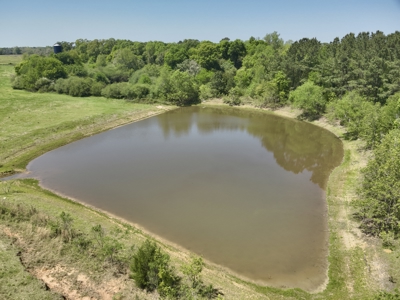 Land for sale Dothan, Alabama - Huskey Road - image 6