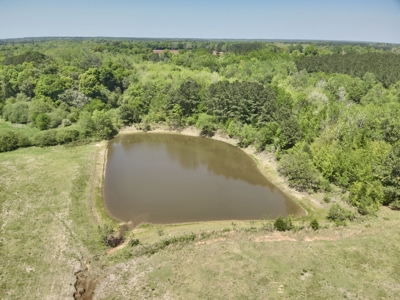 Land for sale Dothan, Alabama - Huskey Road - image 7