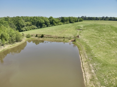 Land for sale Dothan, Alabama - Huskey Road - image 5