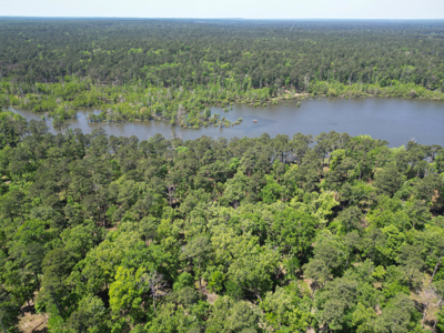 Hunting and Fishing Acreage near Sam Rayburn Reservoir - image 8