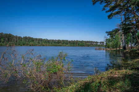 Hunting and Fishing Acreage near Sam Rayburn Reservoir - image 14