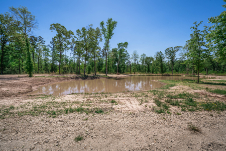 Hunting and Fishing Acreage near Sam Rayburn Reservoir - image 24